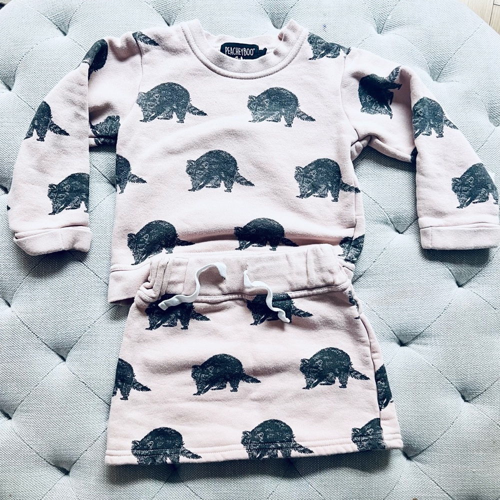 Peacheyboo Kids 4-5 year raccoon outfit